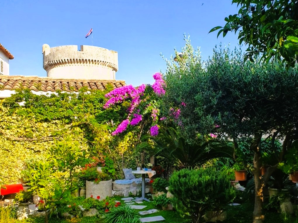 Rooms Garden - with a view: R1(2) Dubrovnik - Riviera Dubrovnik 