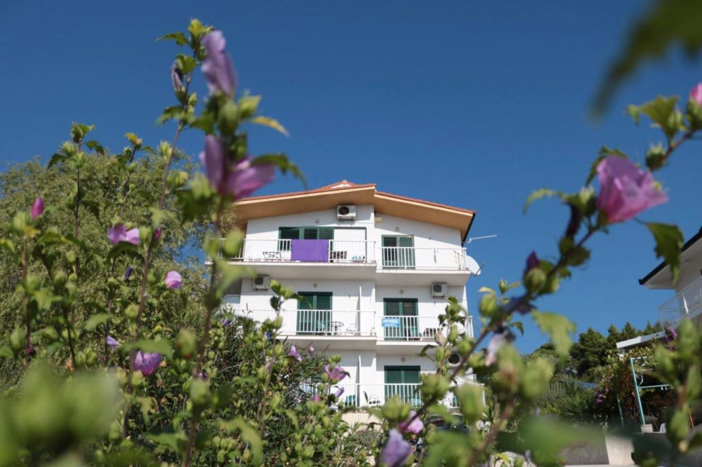 Apartments Gloria - 5 min to the beach : SA1(3+1), SA2(3), SA3(3), SA4(4), SA5(3), SA6(3), SA7(2), A8(6+4) Gradac - Riviera Makarska 