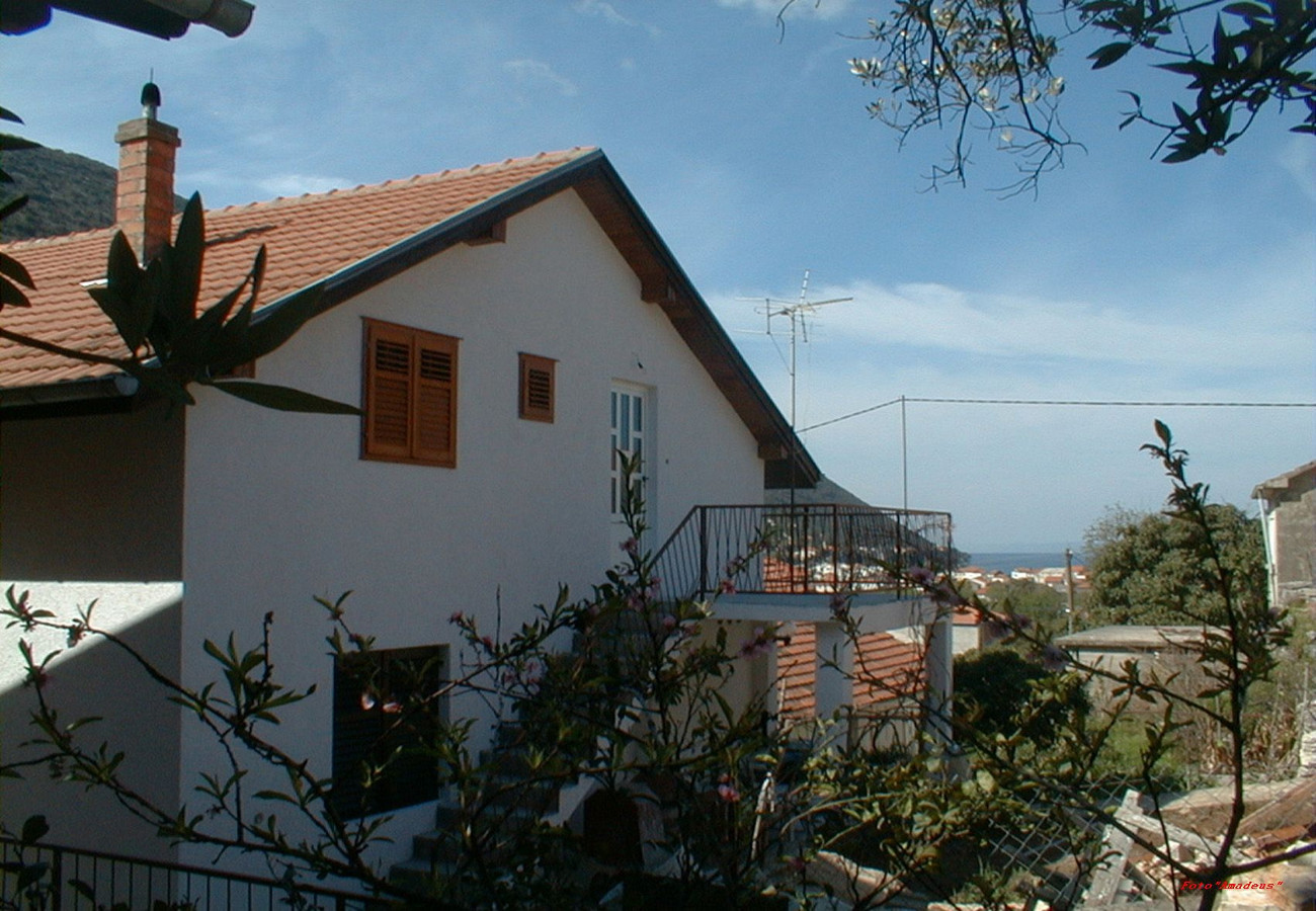Apartments Vido - 150 m from beach: A1(2+2), A2(6+3) Trpanj - Peljesac peninsula 
