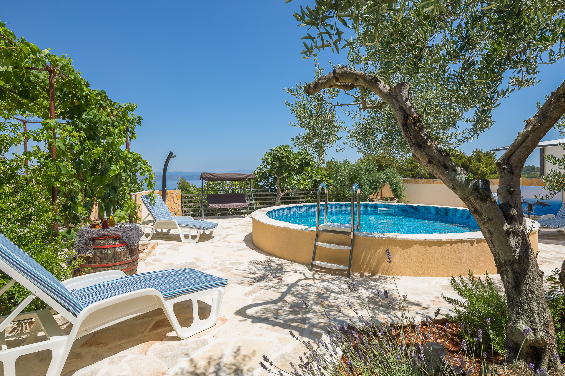 Holiday home Villa Ante - with pool: H(6) Rogac - Island Solta  - Croatia